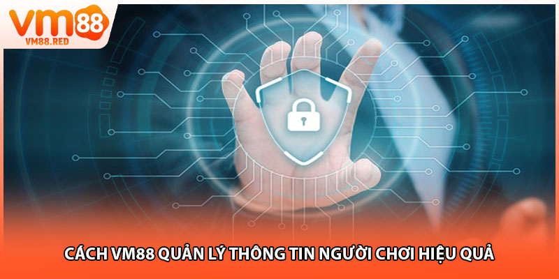 Cách VM88 quản lý thông tin người chơi hiệu quả