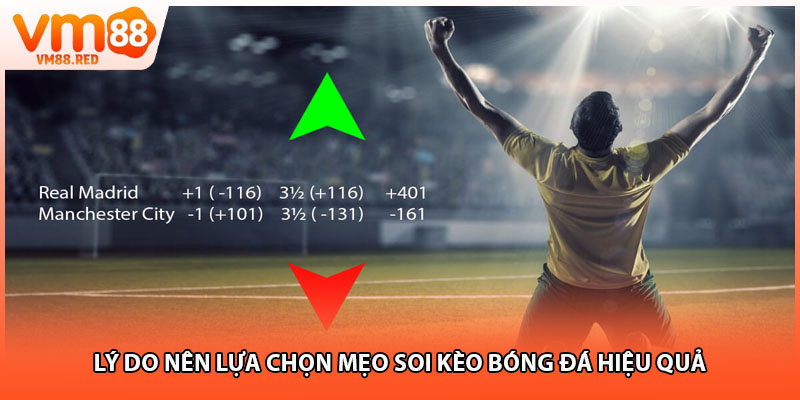 Lý do nên lựa chọn mẹo soi kèo bóng đá hiệu quả