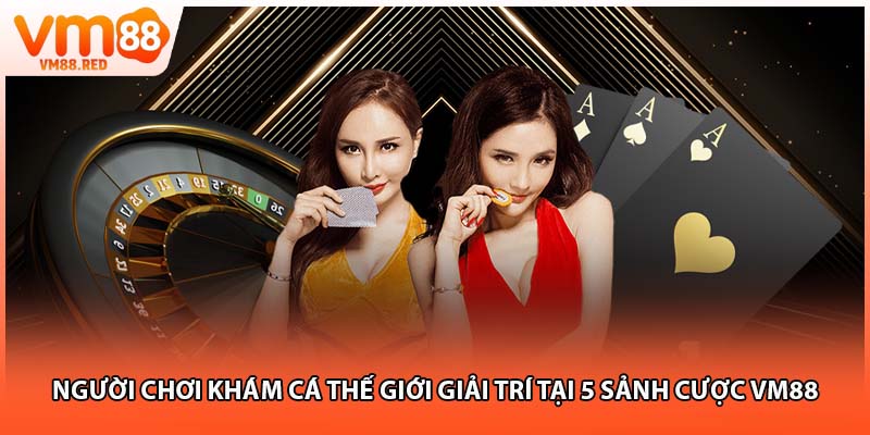 Người chơi khám cá thế giới giải trí tại 5 sảnh cược VM88
